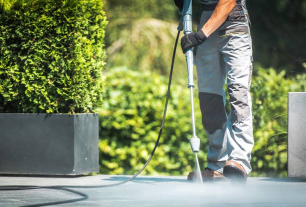 Best Roof Washing  in Albion, MI