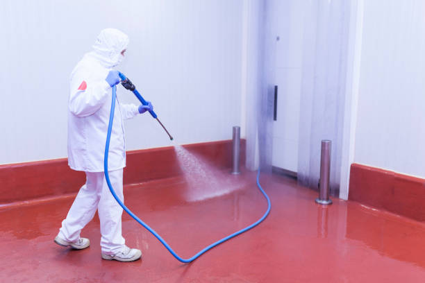 Best Oil Spill Cleanup  in Albion, MI