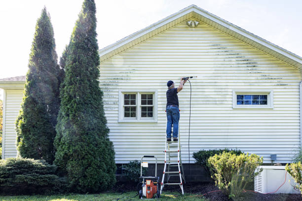 Best Animal Enclosure Cleaning  in Albion, MI